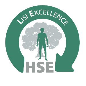 Excellence HSE Lisi automotive