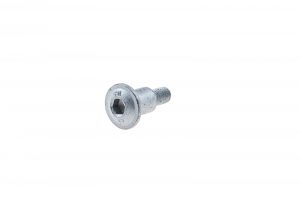 Shoulder screw